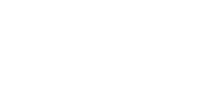 AllMotion Group